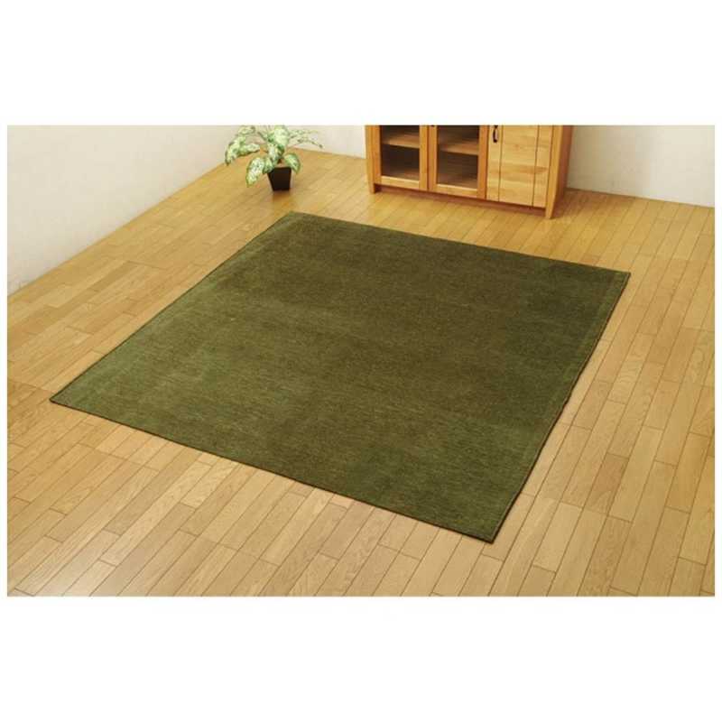 イケヒコ　ラグ モデルノ (185×185cm/グリーン)