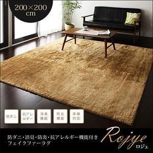 防ダニ/消臭/防炎/抗アレルギー機能付きフェイクファーラグ[Rojye]ロジェ 200x200cm ブラウン
