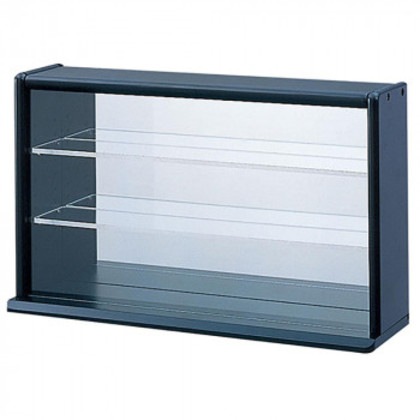 ナカバヤシ コレクションケース ミニ/ブラック CCM-N002BK