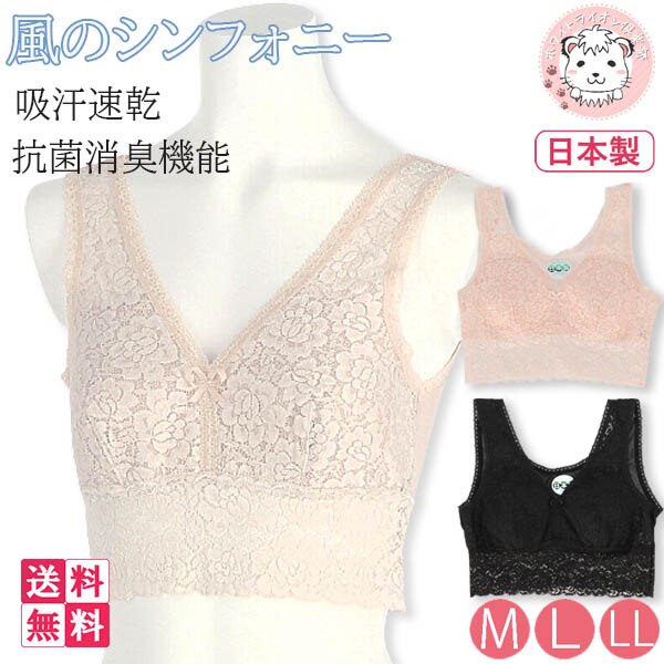 レディース らくらくブラ 風のシンフォニー 究心 日本製 3枚セット M/L/LL ノンワイヤーブラ