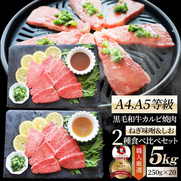 A4,A5等級 特選 黒毛和牛 カルビ焼肉 ねぎまみれ 味噌ダレ&塩ダレ 5kg（250g×各10） 食べ比べ 牛肉 肉 お歳暮 クリスマス ギフト 食品 お祝い 霜降り 黒毛