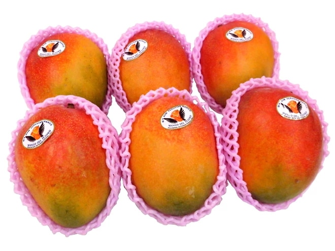 =ペルー産 ケントマンゴー= 大玉6玉前後 約3kg 航空便 予約 12月中旬以降