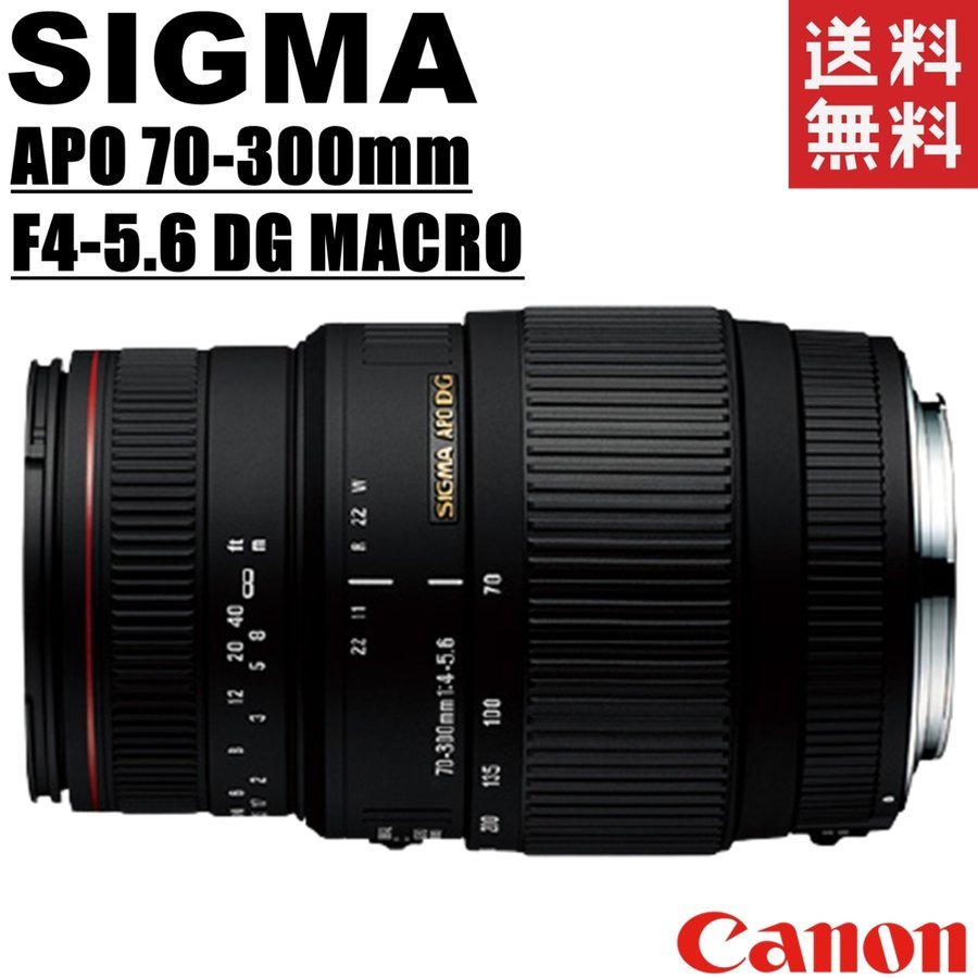 APO 70-300mm F4-5.6 DG MACRO キヤノン用 望遠ズーム レンズ カメラ 中古