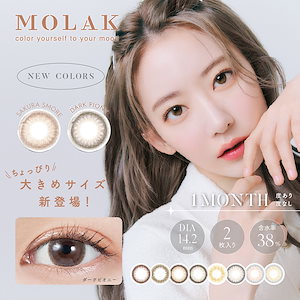 最大40%off【2箱セット】(1箱2枚) MOLAK モラク マンスリー 1ヵ月[molak-1month][PI]