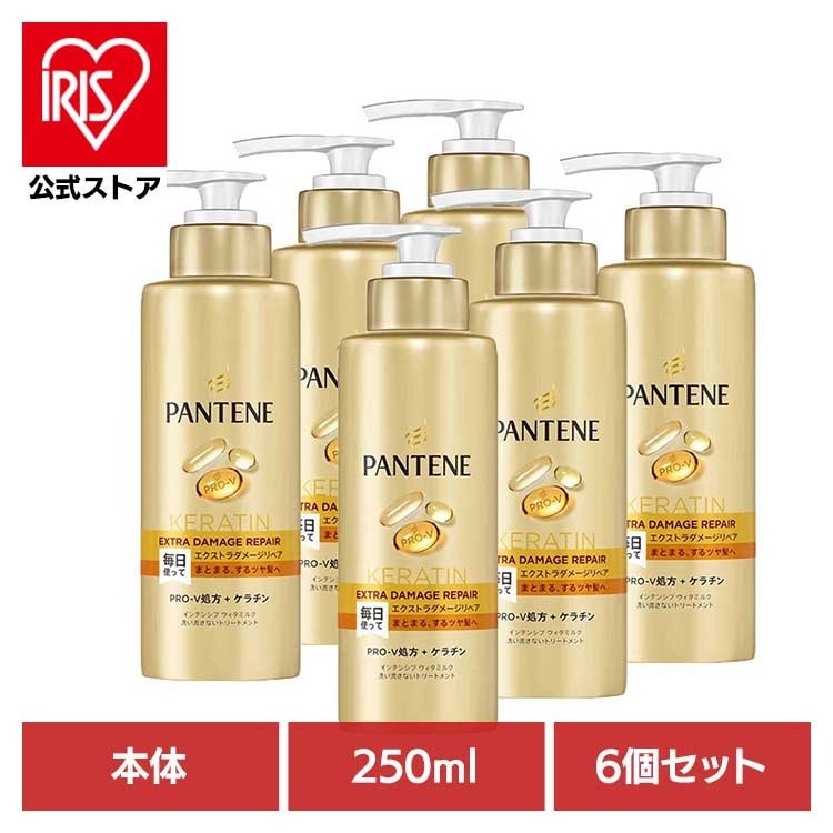 【6個セット】ヘアケア ボディケア ヘアケア パンテーン エクストラダメージリペア インテンシブヴィタミルク 特大サイズ パンテーン