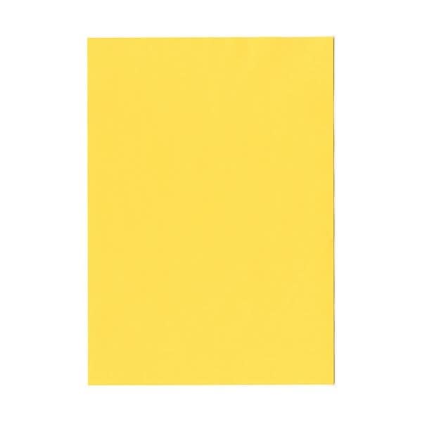 北越コーポレーション 紀州の色上質A3Y目 薄口 濃クリーム 1箱（2000枚:500枚x4冊）