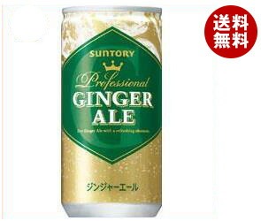 サントリー ジンジャーエール 200ml缶＊30本入＊(2ケース)