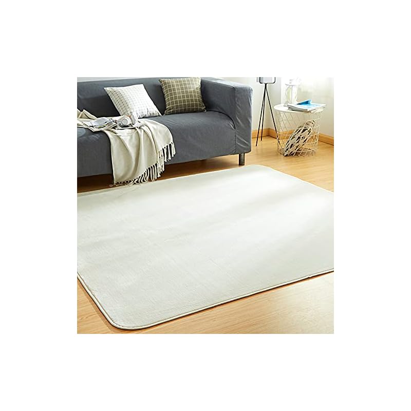 VK Living カーペット ラグ ラグマット 絨毯 200250cm(約3畳) 洗える 滑り止め付 防ダニ 抗菌 防臭 1年中使えるタイプ 床暖房 ホットカーペット対応 ふわっと手触り 優しいフ