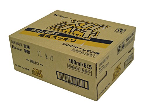 メガシャキ ジンジャーレモン味 メガシャキA 100ml65