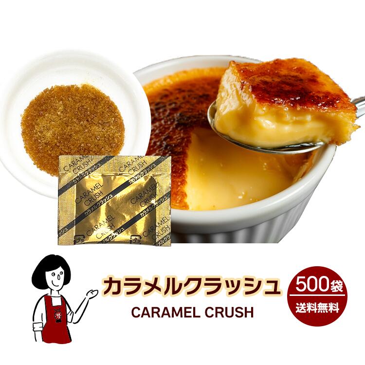 カラメルクラッシュ 2g×500袋 カラメル プリン ブリュレ アイス デザート スイーツ 小袋 使い切り 顆粒タイプ
