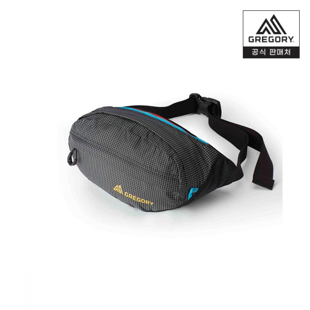 (Gregory) Gregory Nano ウエストパックヒップカラー-TECHNO BLACK アウトドアバッグ