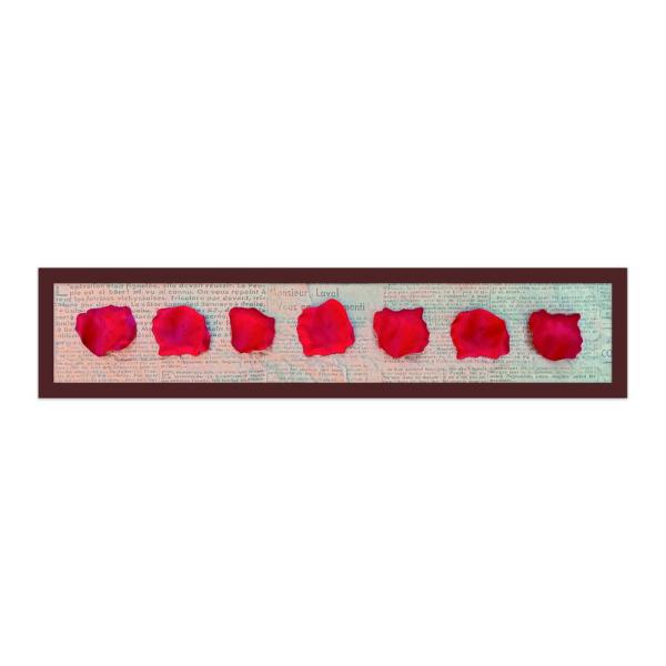 アートパネル 額 フレーム 飾り レトロ アンティーク 壁掛け ウォールデコレーション ローズ 薔薇 バラ 芸術 モダンアート おしゃれ 513x113mm