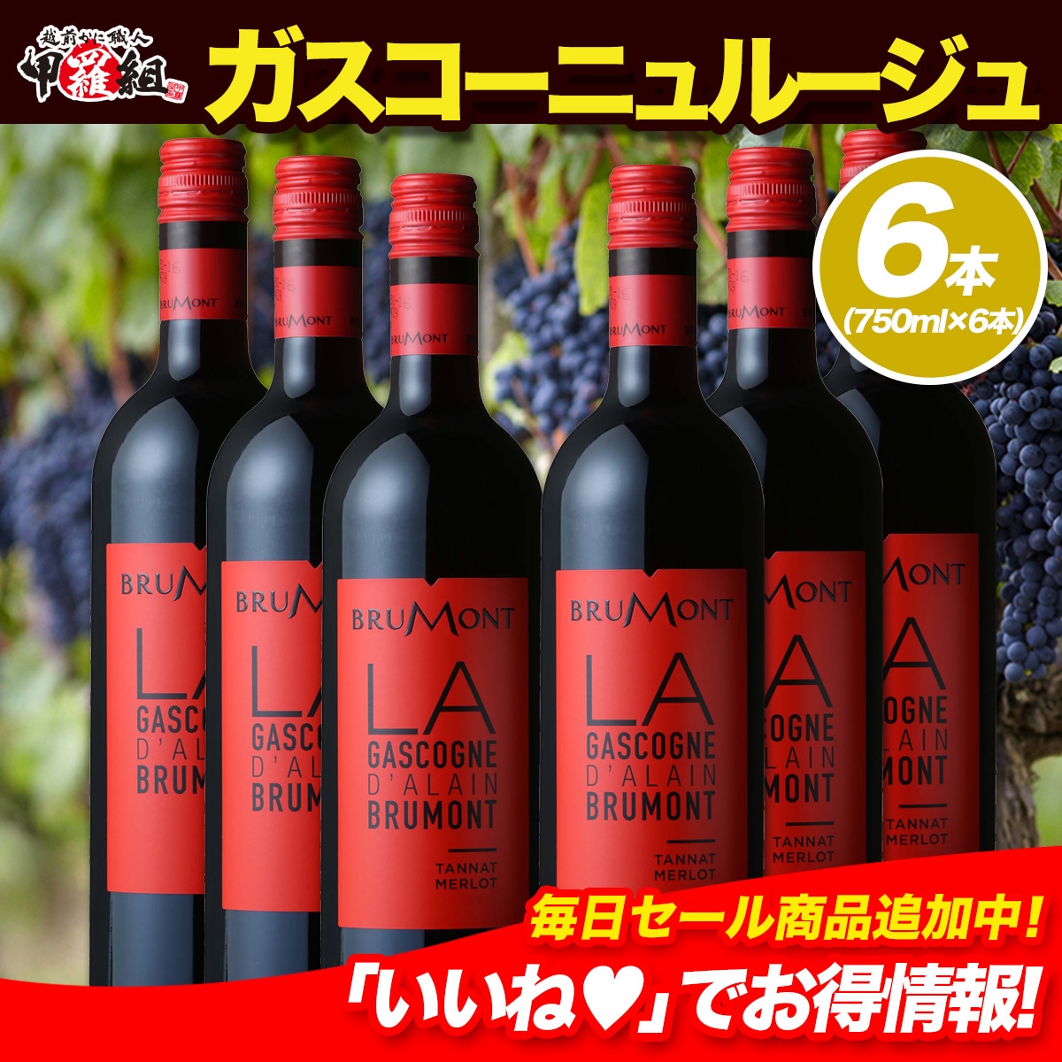 ドメーヌ・アラン・ブリュモン ガスコーニュ ルージュ×6本セット