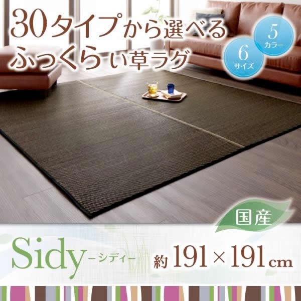 い草ラグ おしゃれ 約2畳 191×191cm 日本製 夏用 ラグマット 15,525円