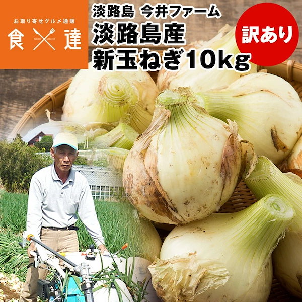 淡路島産 新玉ねぎ 訳あり 10kg - 野菜