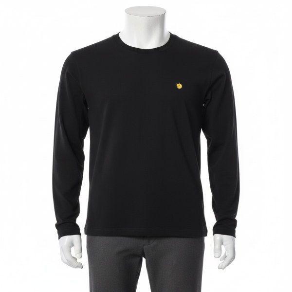 FJALLRAVEN 25 男性 ベルグターゲン シンウール 長袖 87405550 BERGTAGEN THIN WOOL LS M 824832