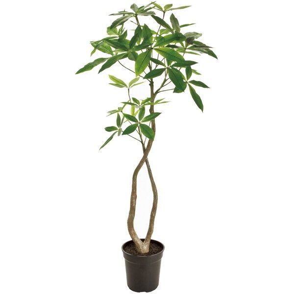 FG022000　造花　パキラ　４ＦＧＲＥＥＮ メーカー直送 12,920円