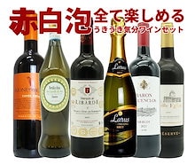 【激レア】チェッカーズ 10年解散記念 限定ワイン チェッカーズ 40th Anniversary オリジナルアルバム・スペシャル