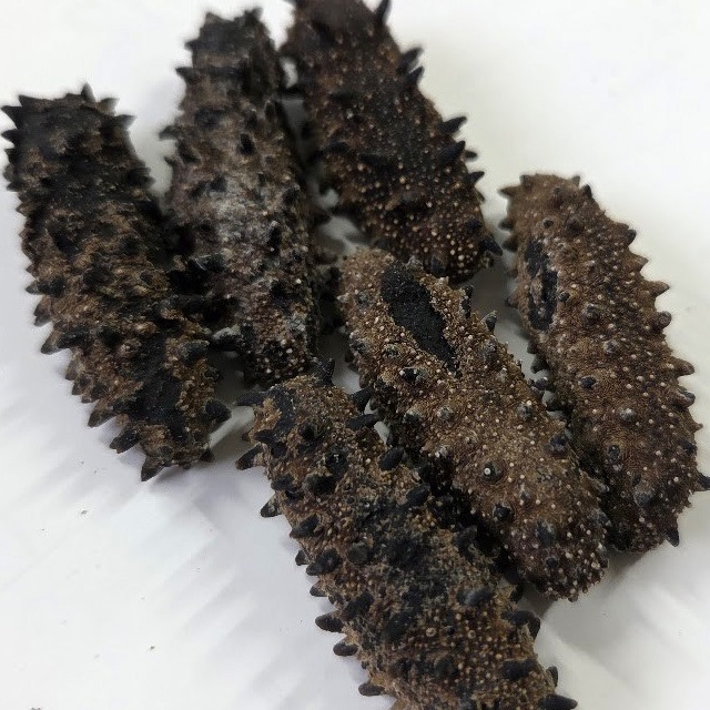 お得用 北海道産 天然乾燥ナマコ【訳あり】M-2Lサイズ100g（約6-20個） 旨味凝縮