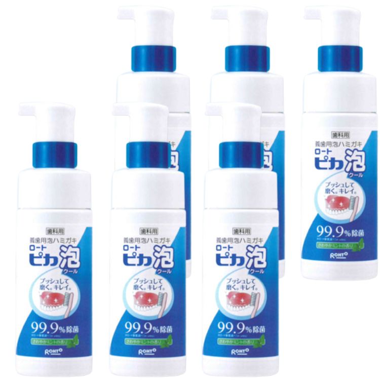 6個セット 松風 義歯用泡ハミガキ ロート ピカ 泡クール 150ml