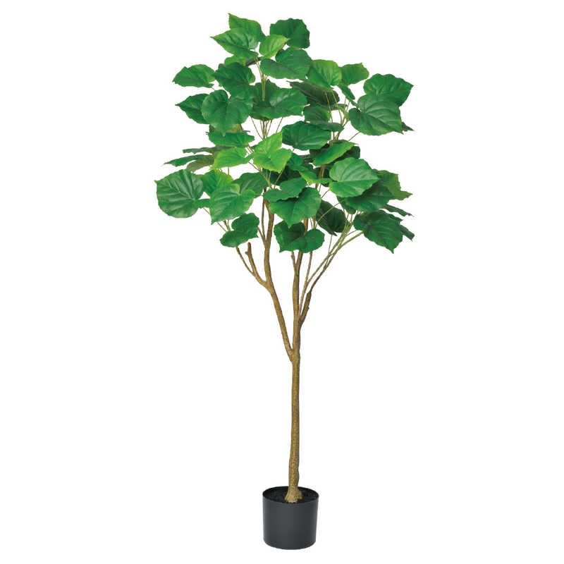 アスカ商会　フェイクグリーン ウンベラータ グリーン　A-51039-051A 27,225円