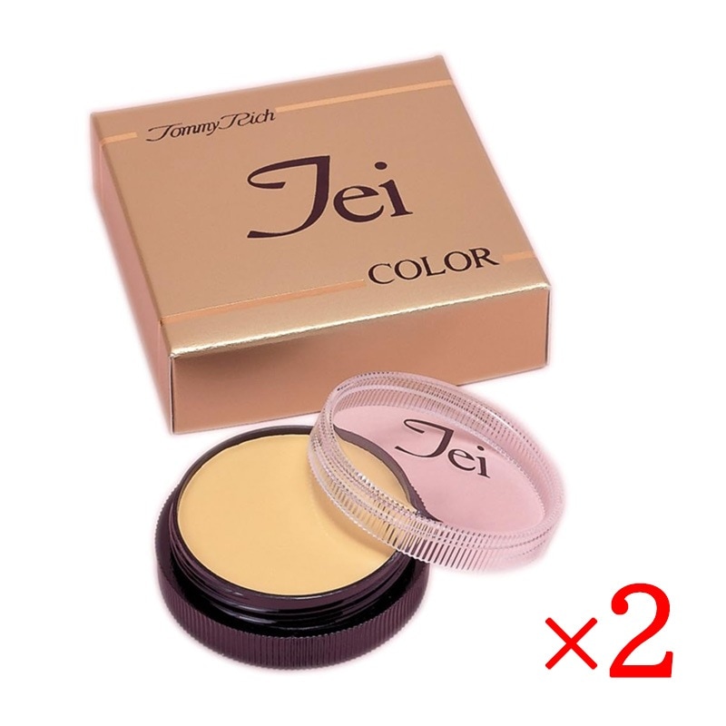 TEIカラー ナチュラルコントロール 2個セット ファンデーション コスメ 化粧品