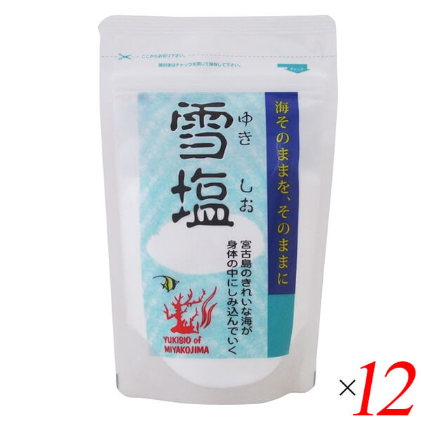 雪塩 パウダータイプ 120g 12個セット