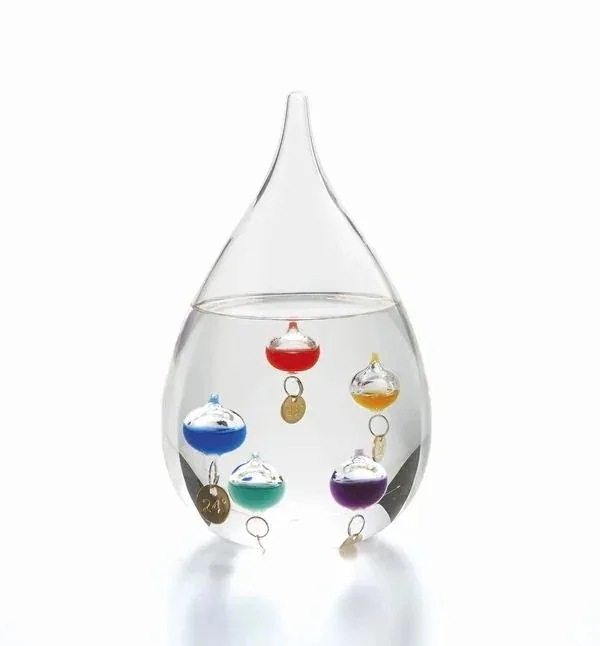 オブジェ 置き物 インテリア雑貨 家具 インテリア FunScience ガリレオ L 物理学者