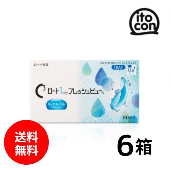 ロート1dayフレッシュビューリッチモイスト 90枚入り 6箱