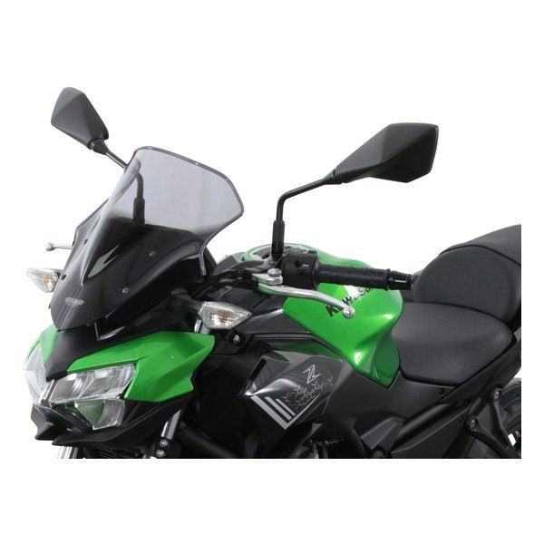 スクリーン レーシング スモーク Z650 20-24 4025066169344 15,293円