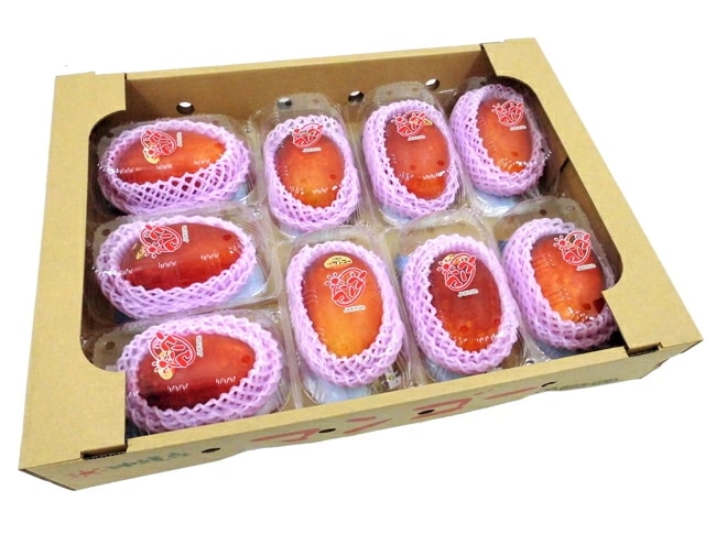 沖縄産 =完熟マンゴー= 秀品 大玉2L 1玉 x9パック 沖縄マンゴー 予約 7月以降