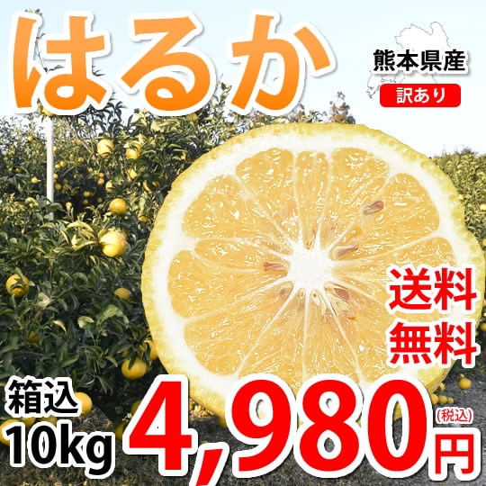 Qoo10] はるか みかん 箱込10kg（9kg＋5