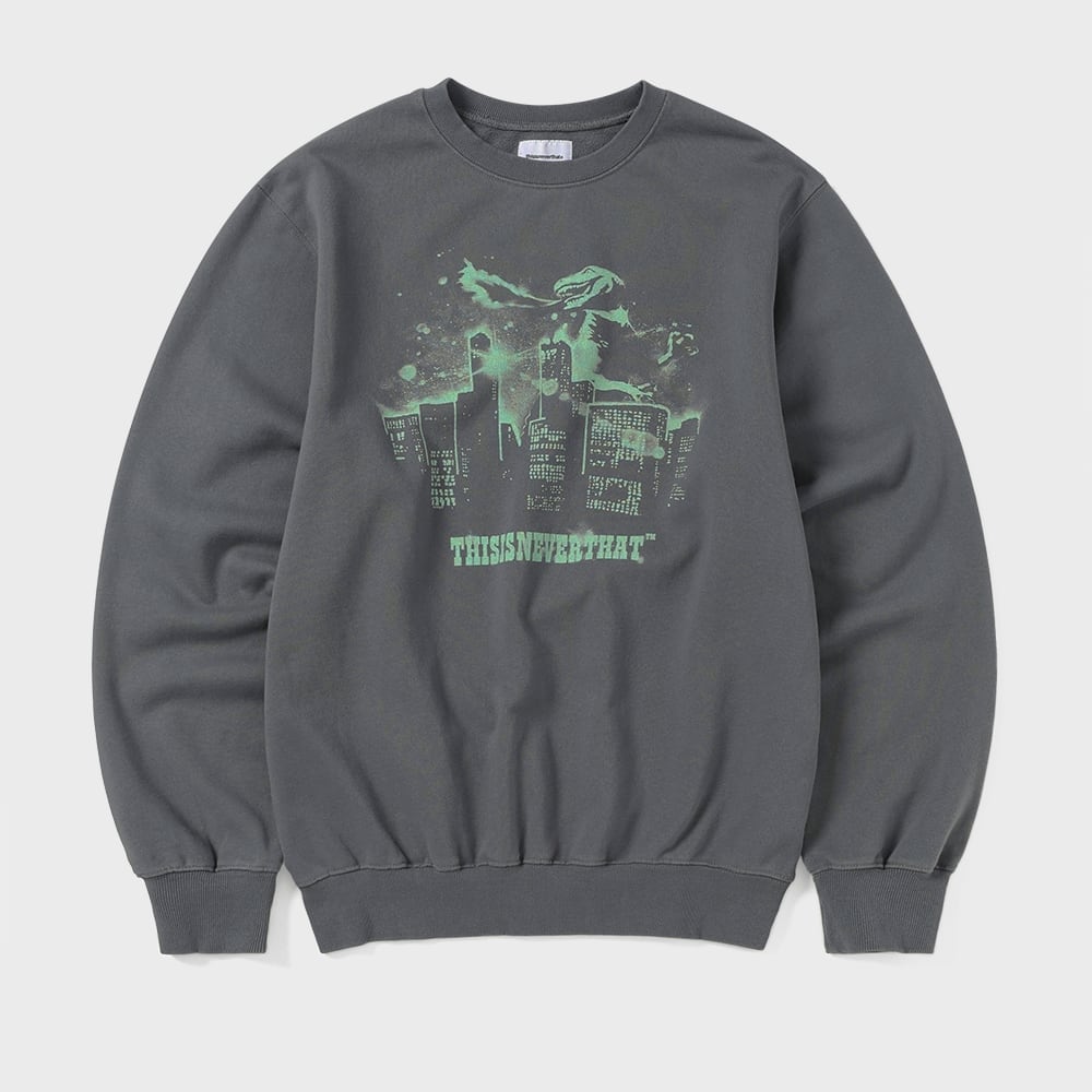 ディス・イズ・ネヴァー・ザットナイトメアクルーネックダークグレー