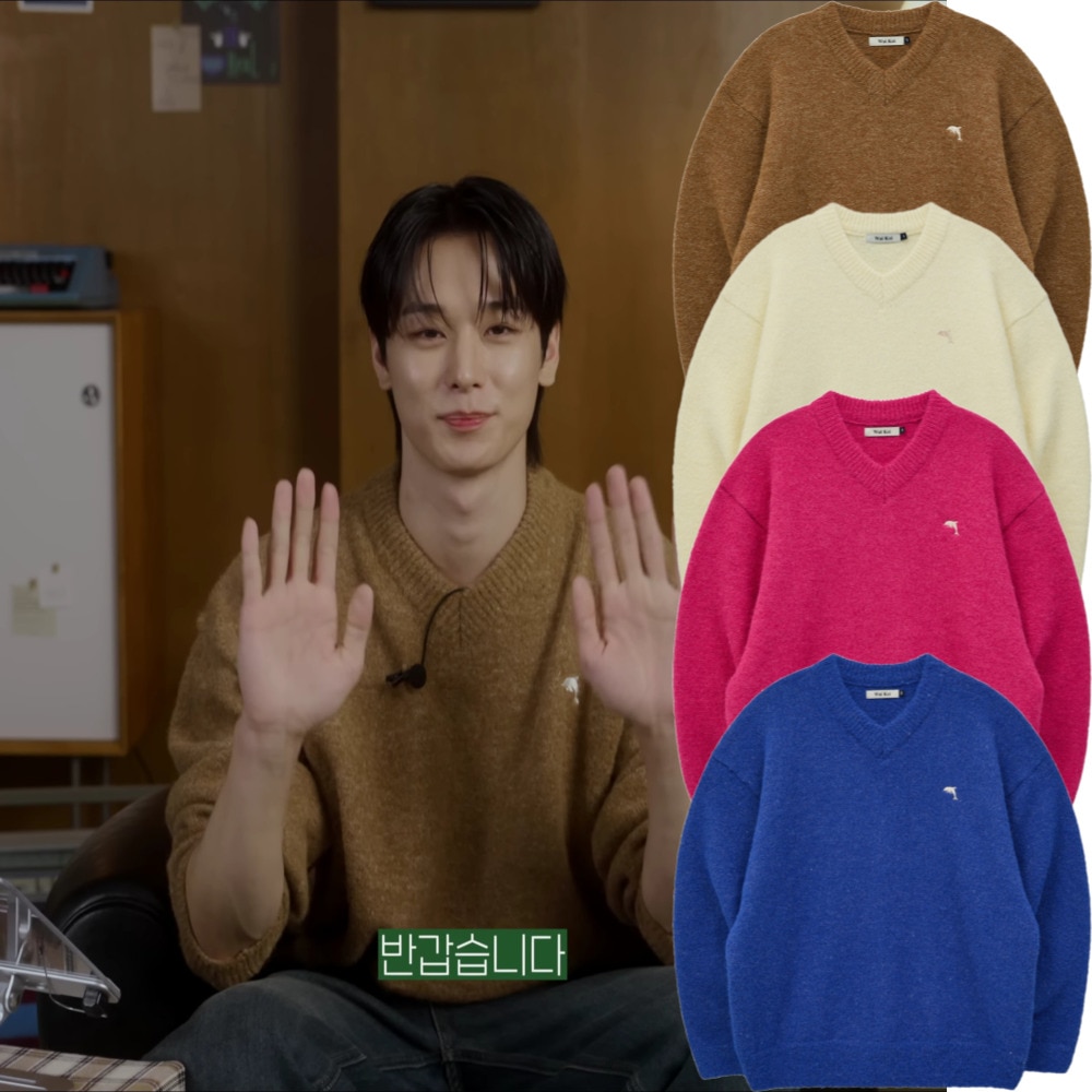 THE BOYZ ジュヨン 着用/Dolphin Hairy V Neck Knit/ユニセックス