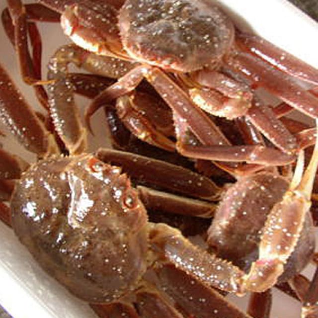 訳あり 活オオズワイガニ 小サイズ 4kg詰 身入り7割前後