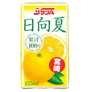 宮崎県農協果汁 サンA 日向夏ジュース 125ml×12本