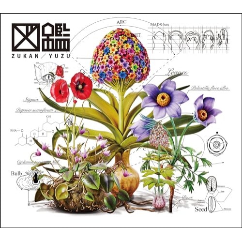 ゆず ／ 図鑑(初回生産限定盤)(Blu-ray Disc付) (CD) TFCC-81087