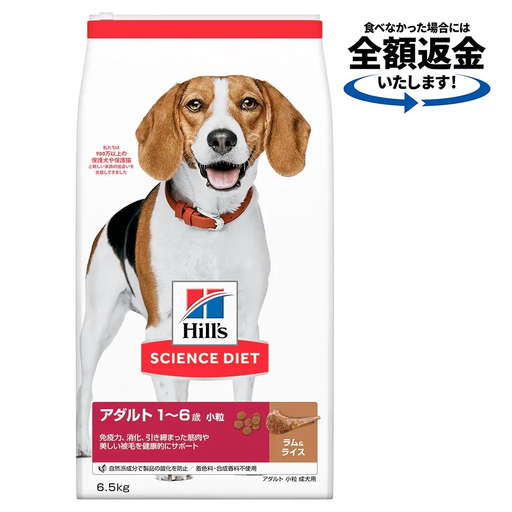 ドッグフード　サイエンスダイエット　アダルト　１歳ー６歳　ラム＆ライス　小粒　成犬用　６．５ｋｇ　ヒルズ　犬　ＣＲＣ45―05―19―10―20