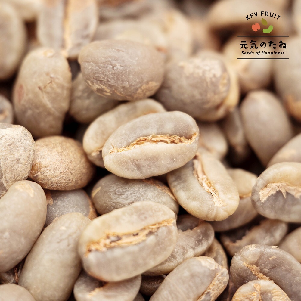 コーヒー 生豆 10kg スペシャルティ 珈琲 エチオピア