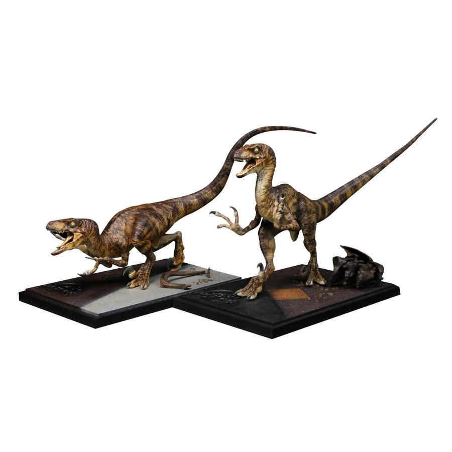 短納期 DINO DREAM 2点セット 1/15 サイズ ヴェロキラプトル 小型 肉食 恐竜 24.5cm 台座付き リアル フィギュア プラモデル 模型 プレゼント プレミアム