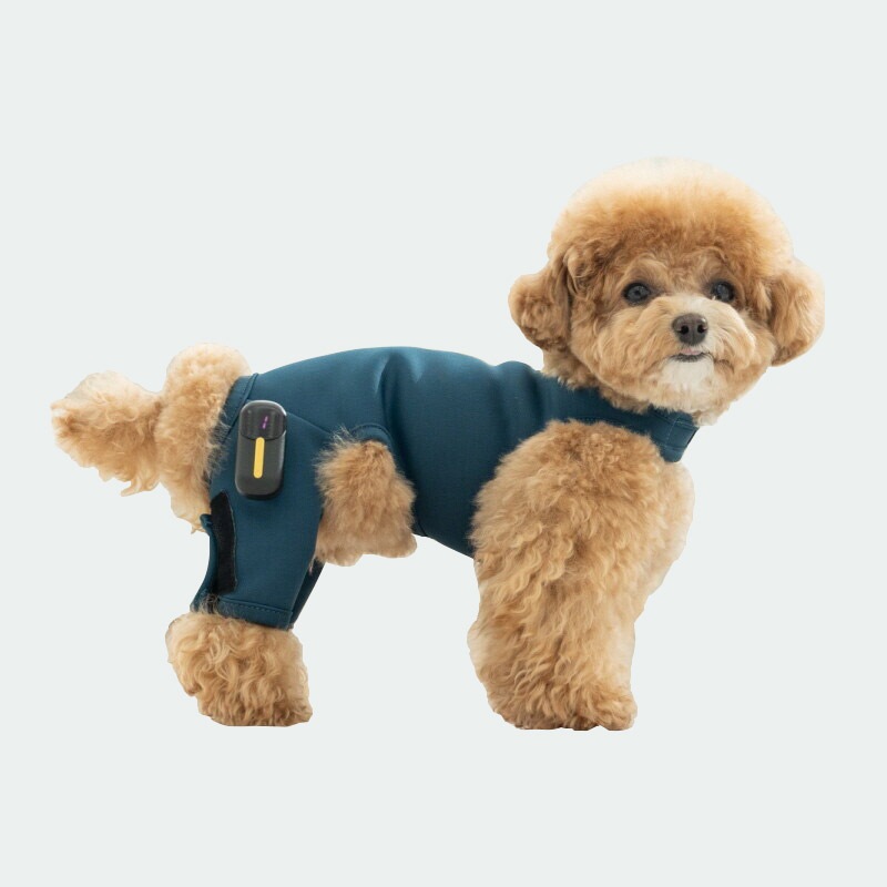 【犬用 EMSトレーニングスーツ】犬 膝蓋骨脱臼 ケア EMS トレーニング 筋肉増強 筋トレ NMES TENS 疼痛ケア 痛み 痛み管理 自宅 ホームケア 膝関節 脱臼 小型犬 S M L XL