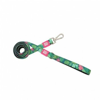 マックス＆モーリー M リード トロピカル