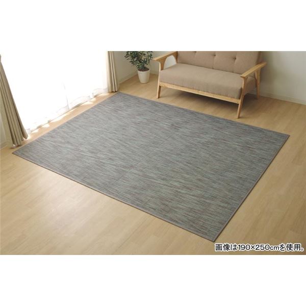 バンブー ラグマット/絨毯 (グレー 約190×250cm) 竹製 無地 抗菌作用 高耐久性 (リビング)