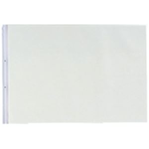 （まとめ）LIHITLAB PPクリヤーポケット クリアポケット N-2018 A3E 2穴 10枚(×5セット)