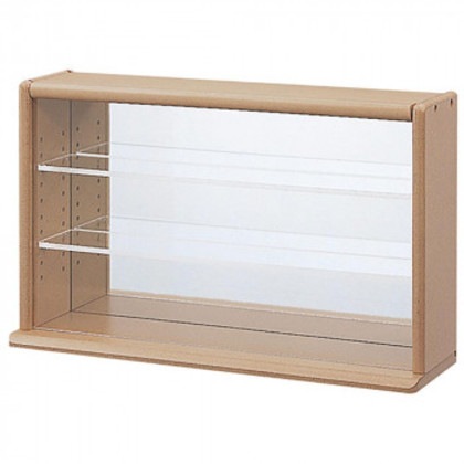 ナカバヤシ コレクションケース ミニ/ブラウン CCM-N002S