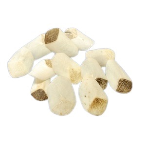 ピラルクのウロコ [Mサイズ 12個セット]ペルー アマゾン 直輸入 淡水魚 約4cm（CITES