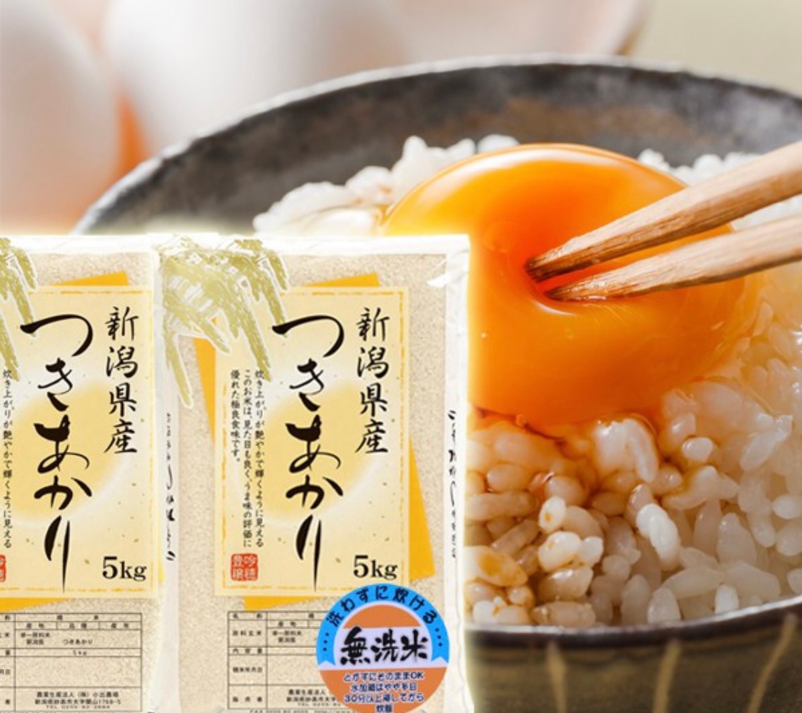 新潟県産 つきあかり 無洗米 10kg 令和６年産 米 １０キロ 新潟米 プレゼント入り　高級米 おいしいお米 美味しいお米 産地直送 農家の米 6,460円
