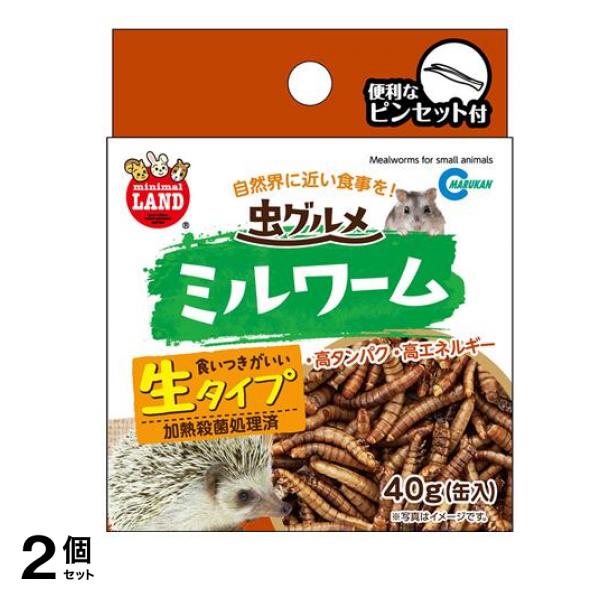 Minimal Land 虫グルメ ミルワーム 40g 2個セット その他