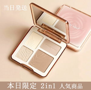 【当日発送】リペアパウダー Vフェイス立体ノーズシャドウ高光沢プロファイル鼻の影のV面に薄い顔横たわっ クリ