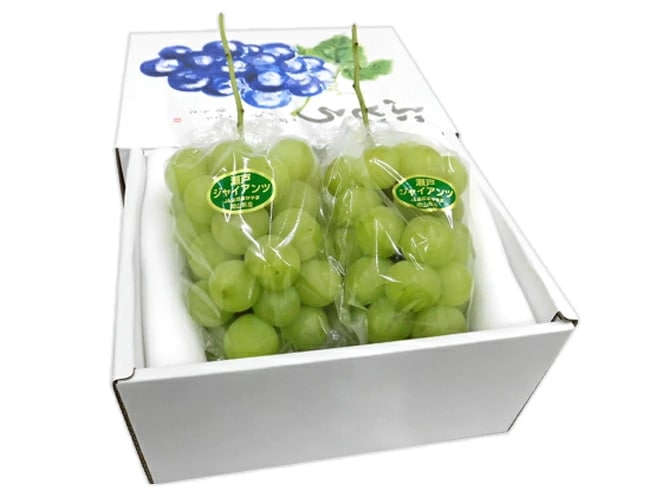 岡山産 =瀬戸ジャイアンツ= 2房 約1kg 化粧箱 ぶどう 予約 8月以降